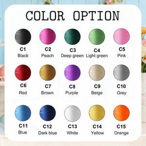 Pu&ograve; includere: Un grafico che mostra le opzioni di colore per un prodotto. Le opzioni includono nero, pesca, verde scuro, verde chiaro, rosa, rosso, marrone, viola, beige, grigio, blu, blu scuro, bianco, giallo e arancione. Il testo "COLOR OPTION" &egrave; in alto.