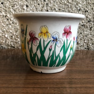 May include: White ceramic flower pot with a floral design featuring green leaves and multi-coloured irises. The irises are yellow, pink, blue, and purple.