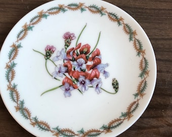 vintage Australian wildflower plate