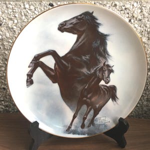 The Black Stallion - collector plate by Fred Stone