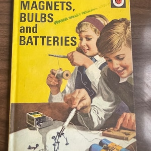 Vintage Marienkäfer Buch-Magnet Birne Batterie