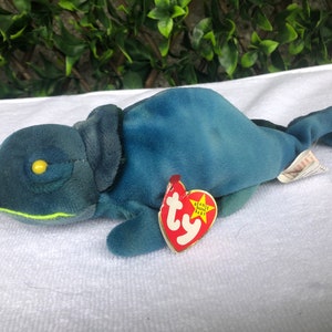 Ty iguane