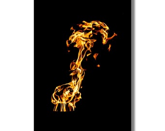Furios: Fire Photography Print, Flame Wall Art, Bellas Artes, Impresiones fotográficas de bellas artes, Fotografía de fuego, Foto de llama, Grandes impresiones fotográficas