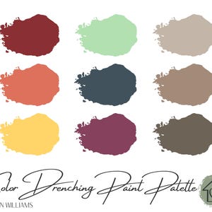 Color Drenching - Sherwin Williams Paint Palette - Paint Color Schemes for Interiors - Paint Color Palette - All Over Color - Monochromatic
