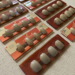 Vintage Dental Temporary Teeth Sets