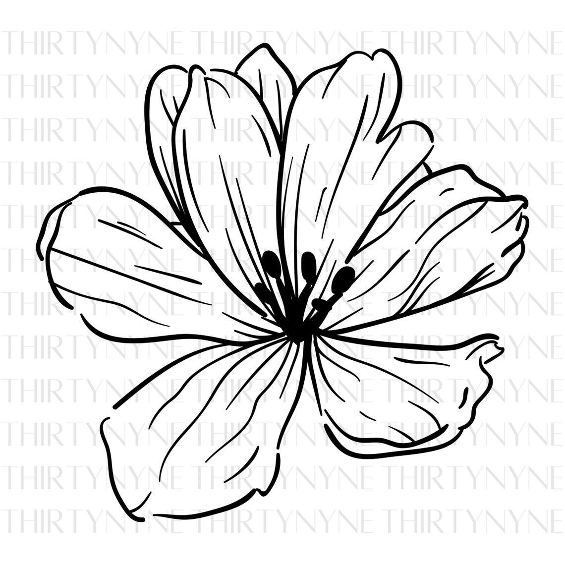 Flower PNG SVG Line Art - Etsy