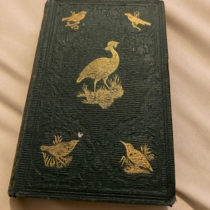 May include: A dark green book cover with gold embossed illustrations of birds. The cover features a large bird in the center and smaller birds in the corners.