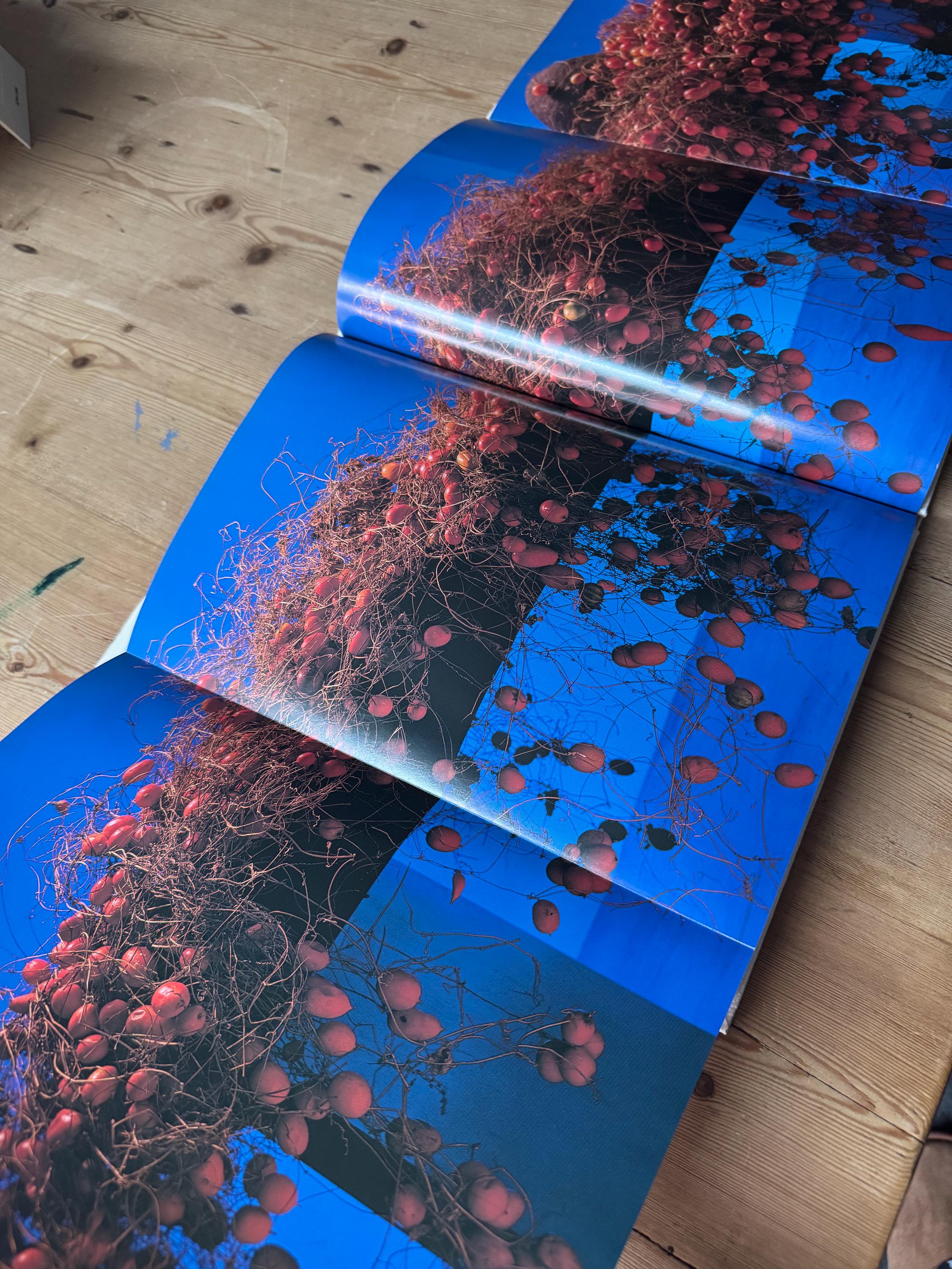 栗崎昇著『花の魂』。1984年に出版された美しい花の展示写真集