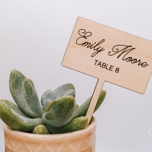 Succulent Place Cards With Table Numbers, Rustic Wedding Favors, Personalized Plant Stakes, Succulent Tags, Mini Plant Marker, Escort Cards