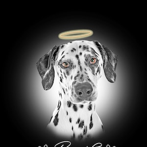 Ritratto personalizzato in bianco e nero, schizzo personalizzato di un animale domestico, schizzo personalizzato di un cane, illustrazione, pittura digitale, cane, simpatia, amante dei gatti, regalo commemorativo
