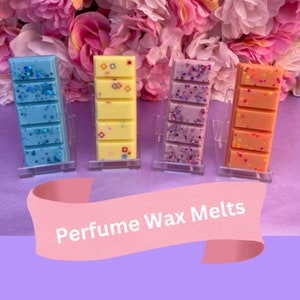 Perfume Wax Melts Snap Bars, Highly Scented Soy Wax Melts with Long Lasting Scent, Vegan Friendly, Designer Dupe Aftershave