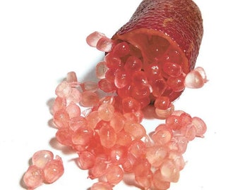 Australian Red Pulp Finger Lime Tree Please Read Description*