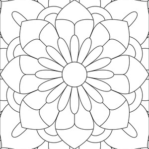 Mandala Coloring Book: Volume 8