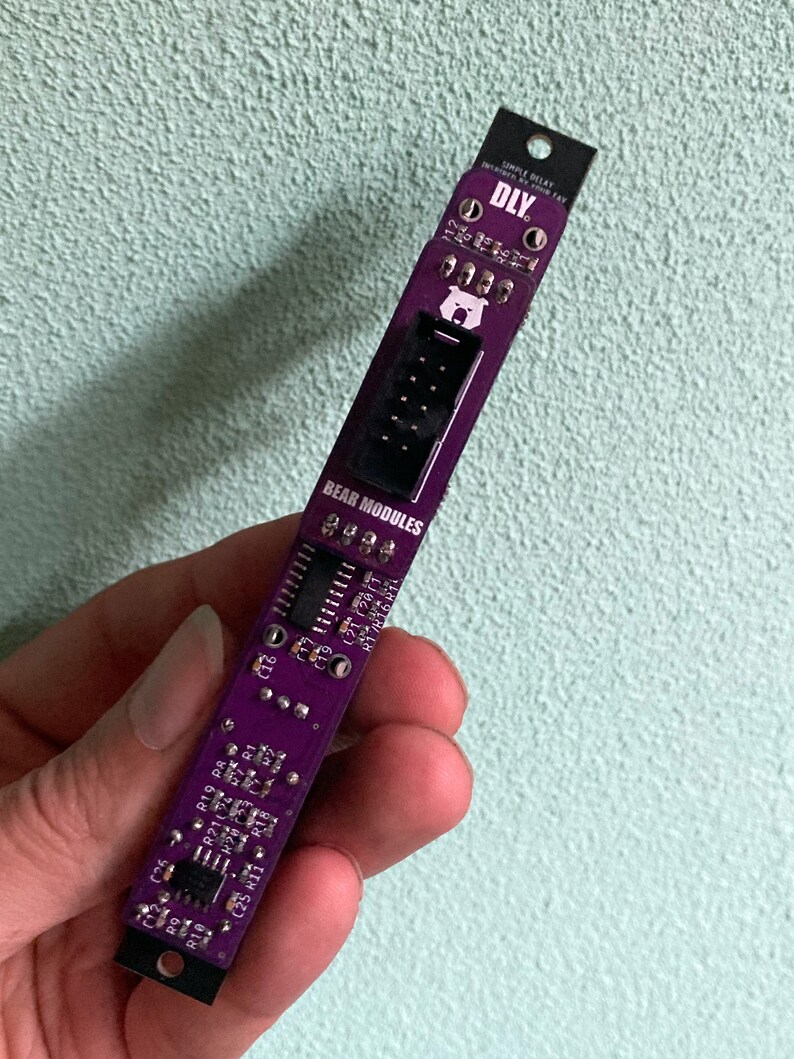 DELAY - 3U Eurorack Delay Module - Etsy