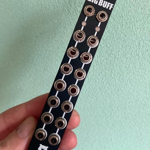 Puede incluir: Módulo Eurorack negro con el texto "BIG BUFF" en letras blancas. El módulo tiene 16 conectores plateados.