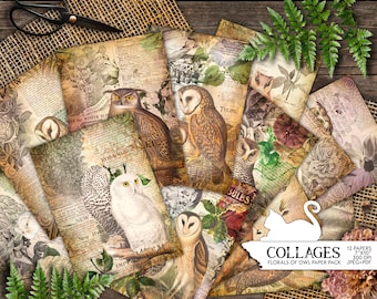 May include: A digital paper pack with 12 floral and owl designs. The papers feature vintage-style illustrations of owls, flowers, and text. The papers are 7 inches by 10 inches and 300 DPI. The papers are available in JPEG and PDF formats.