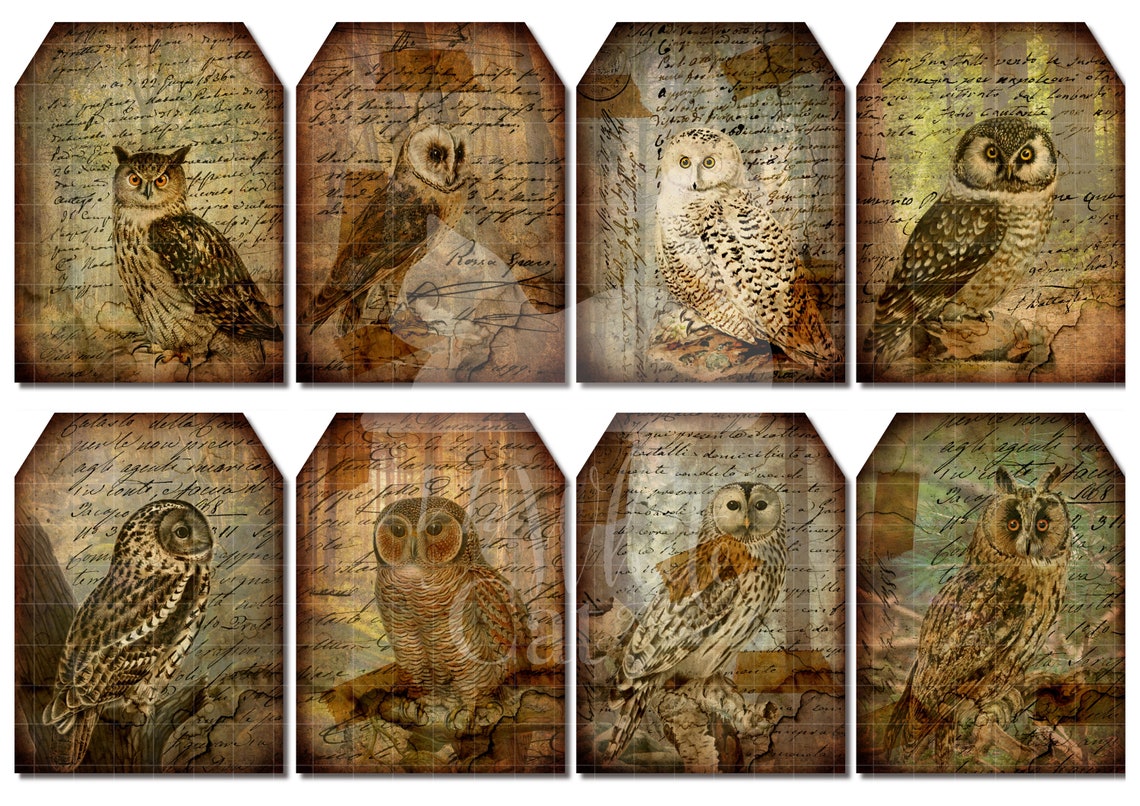 Vintage Owls Printable Vintage Ephemera Owl Cards Etsy