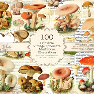 Junk Journal, Mushroom Clipart, Graphics Bundle, Vintage, Ephemera, Mushroom Illustrations, Printable, Scrapbook, Digital Download