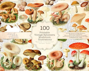 May include: A collection of 100 printable vintage mushroom illustrations. The illustrations are in various sizes and feature a variety of mushroom types, including red, brown, and white mushrooms. The illustrations are perfect for adding a touch of vintage charm to your projects.