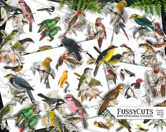 Vintage Bird Stickers | Printable Ephemera Kit | Junk Journal Collage Sheets | Digital Download