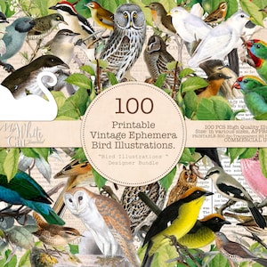 May include: A collection of 100 printable vintage bird illustrations. The illustrations are in various sizes, approximately 4-6 inches, and are high quality. The illustrations are perfect for scrapbooking, card making, and other craft projects.  The text on the image reads: "100 Printable Vintage Ephemera Bird Illustrations. "Bird Illustrations" Designer Bundle. 100 PCS High Quality Illustrations. Size: in various sizes, APPROX. 4-6 inches. PRINTABLE 300 dpi. Transparent BG (CLEAN EDGES) COMMERCIAL USE."