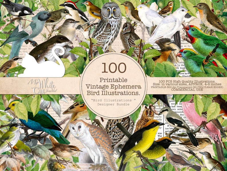 May include: A collection of 100 printable vintage bird illustrations. The illustrations are in various sizes, approximately 4-6 inches, and are high quality. The illustrations are perfect for scrapbooking, card making, and other craft projects.  The text on the image reads: "100 Printable Vintage Ephemera Bird Illustrations. "Bird Illustrations" Designer Bundle. 100 PCS High Quality Illustrations. Size: in various sizes, APPROX. 4-6 inches. PRINTABLE 300 dpi. Transparent BG (CLEAN EDGES) COMMERCIAL USE."