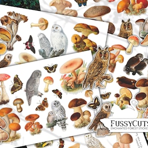 Woodland Junk Journal Stickers – Printable Mushrooms, Owls, Moths & Forest-Themed Ephemera