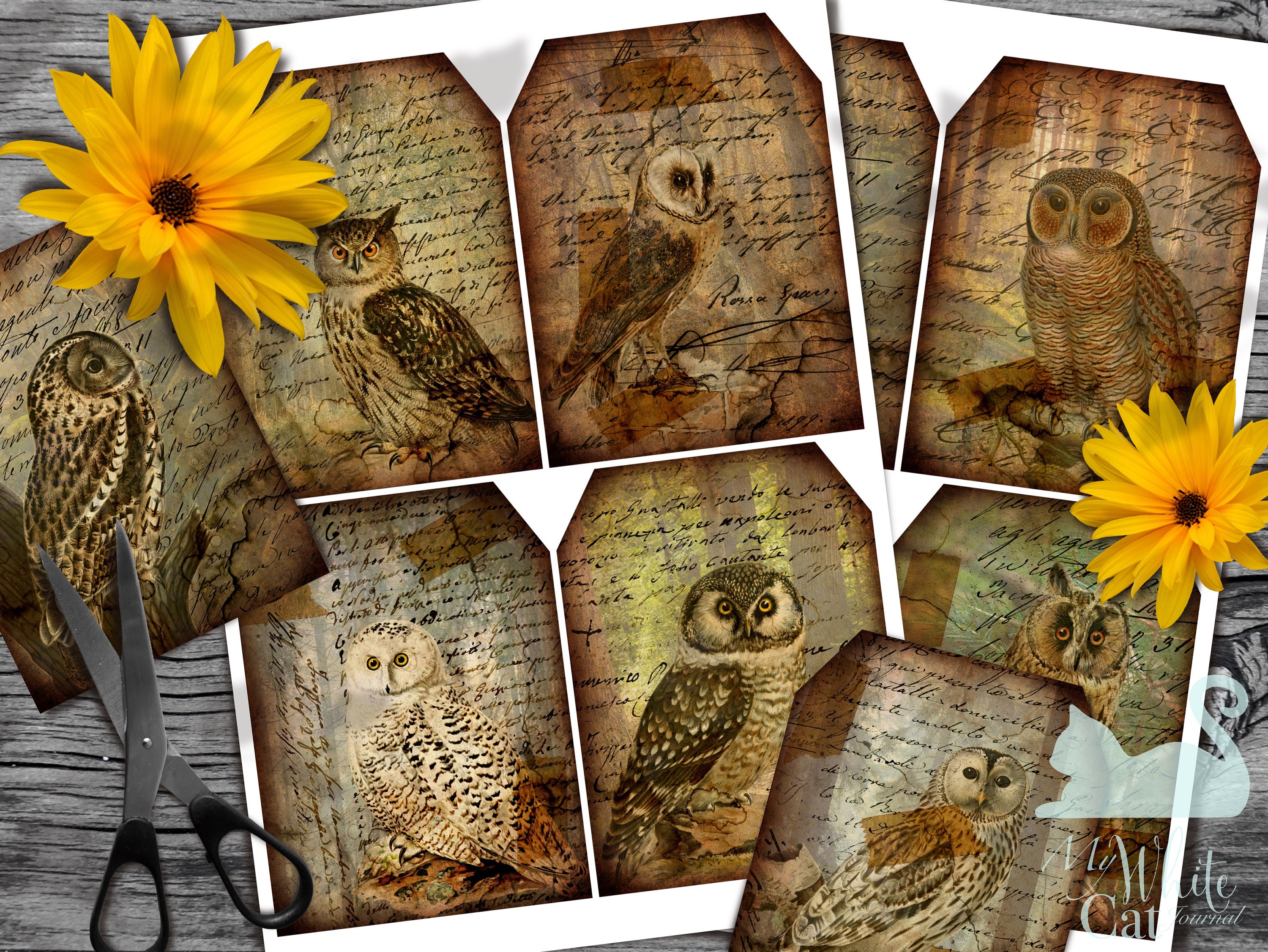 Vintage Owls Printable Vintage Ephemera Owl Cards | Etsy