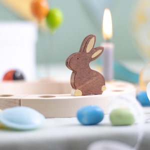 Holzhasen Stecker für deinen Geburtstagsring im Frühling | Frühlingstraum von Osterdeko | passend für Geburtstagskranz und Jahreszeitentisch