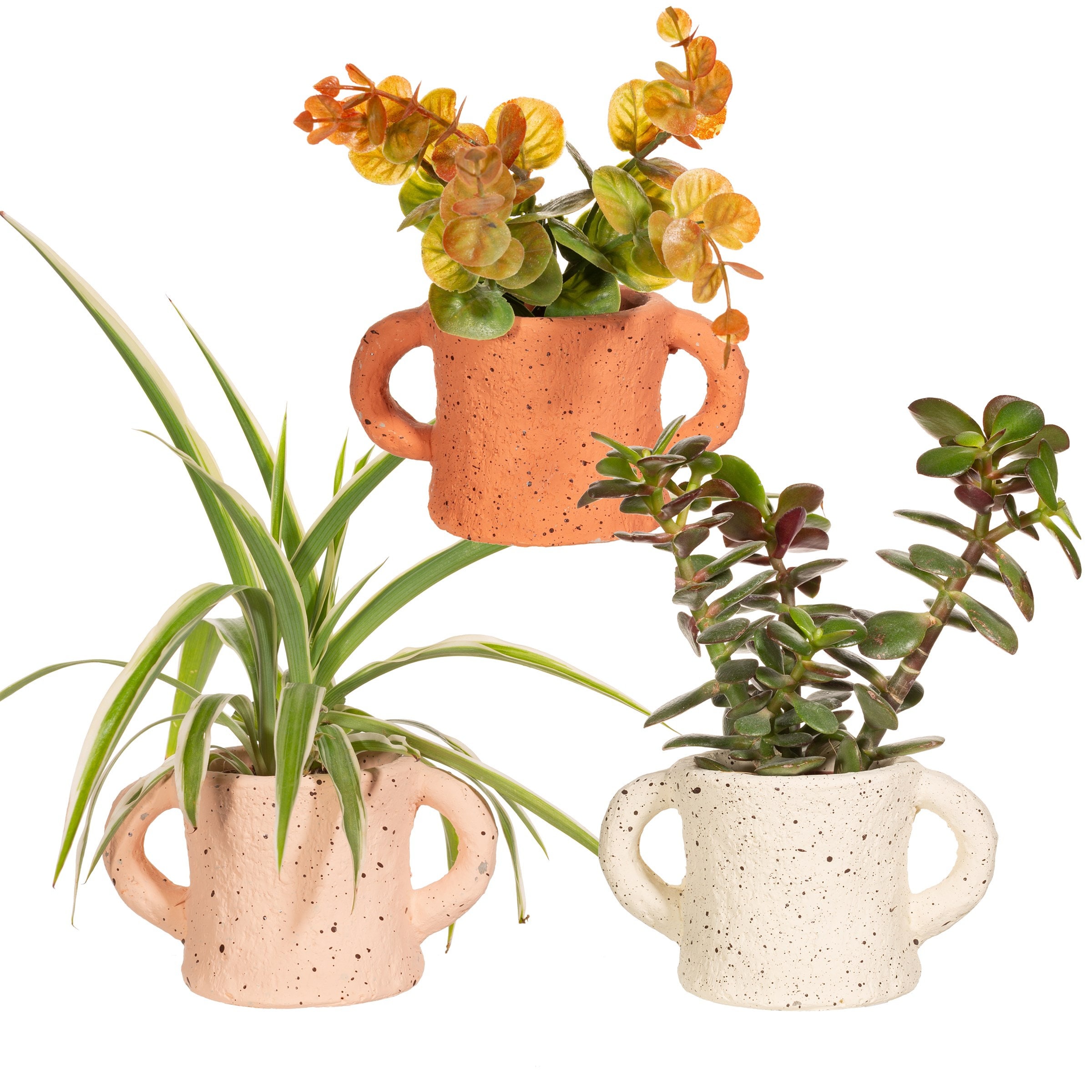 小型植物用ミニハンドルセメントプランター | 3個セット | 多肉植物や 