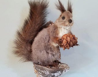 Tufted-Ear Albert Squirrel Wall Mount: Pine Cone Decor