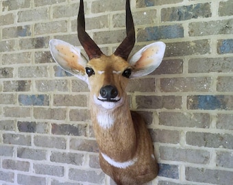 May include: A taxidermied antelope head with dark brown horns and a light brown coat. The antelope has large ears with tan and white markings. The head is mounted on a brick wall.