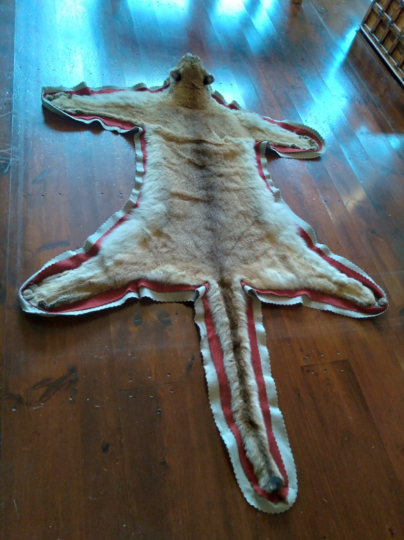 Cougar Skin Rug Authentic WILD-WEST 'mountain Man' | Etsy