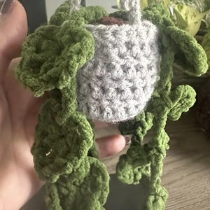 Little Hanging Plant Ornament