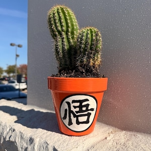 May include: An orange painted flower pot with a green cactus. The pot has a white circle with a black Japanese character. The cactus has multiple green stems with sharp spines. The pot is sitting on a white stone ledge.