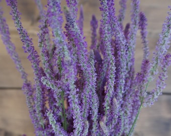 Ramo de estátice de cola de rata rusa seca y rosa