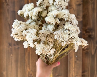 May include: A bouquet of dried white flowers with long stems.
