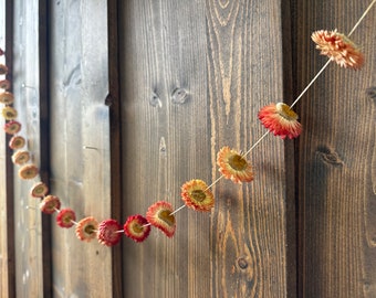 Dried Peach/Apricot Strawflower Garland