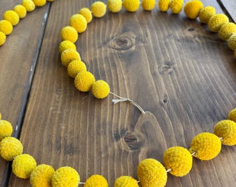 Guirnalda de baquetas de craspedia secas y siempreviva de Billy Ball