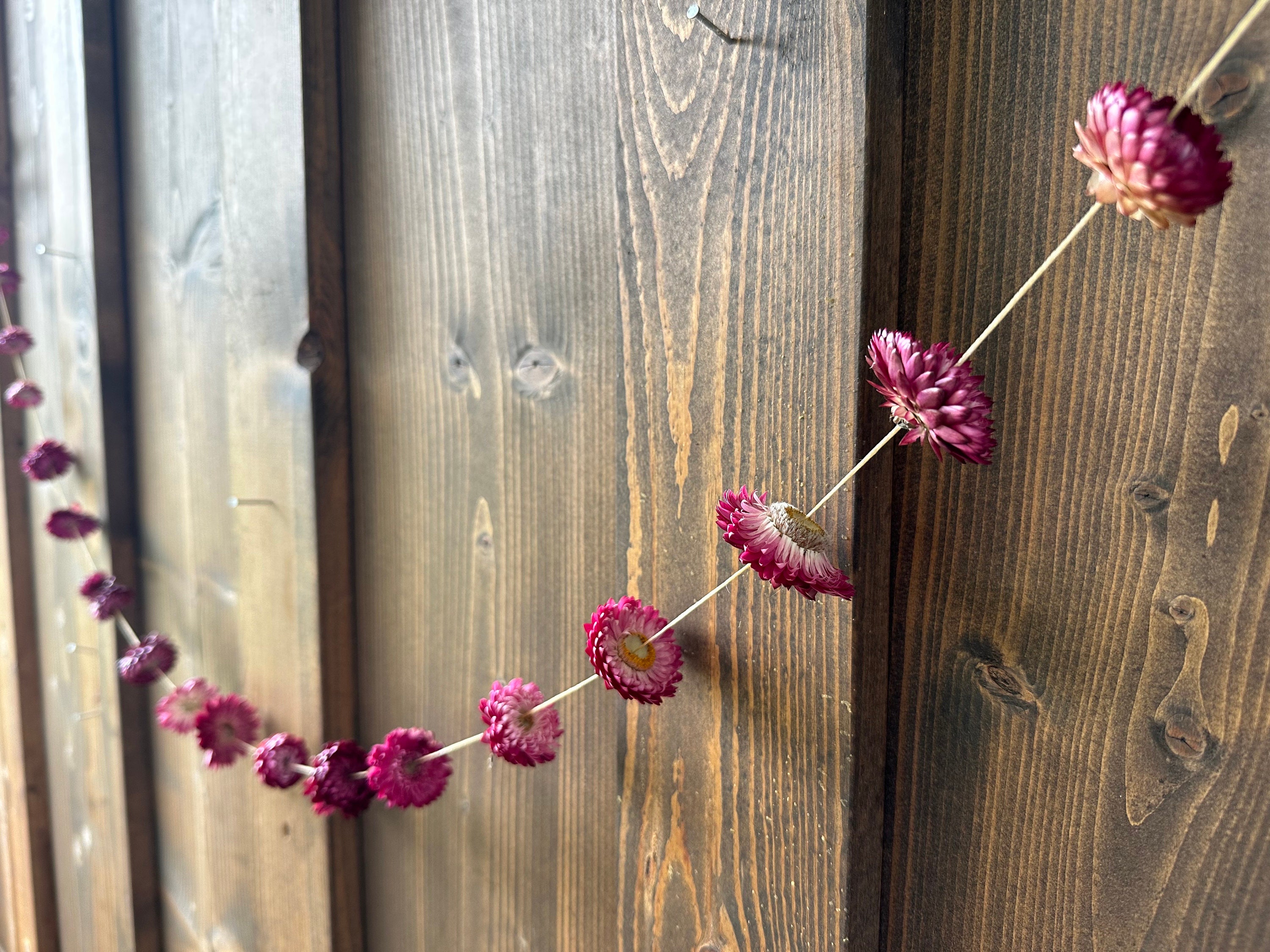 Dried Purple Strawflower Garland