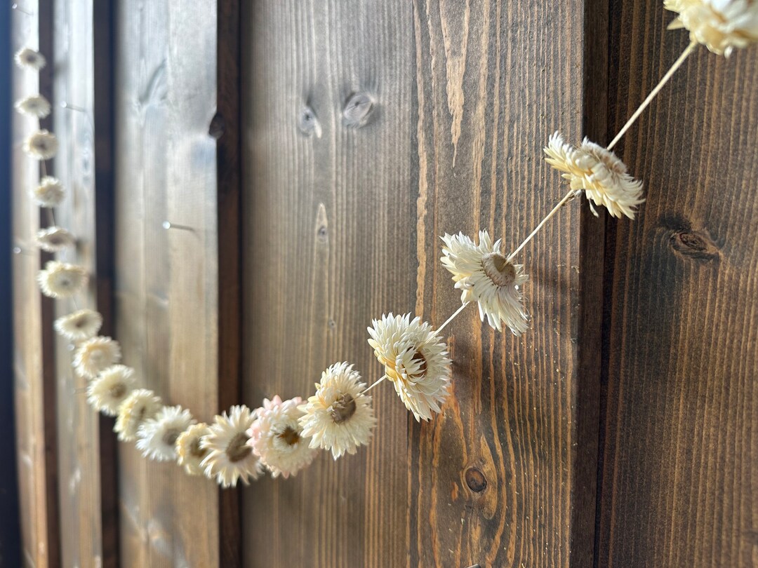 Dried White Strawflower Garland Etsy