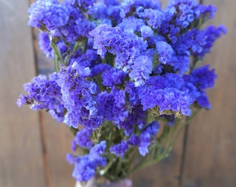 Ramo de estátice morado/azul seco