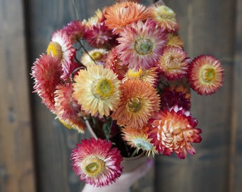 Ramo de melocotón/albaricoque seco y flor de fresa