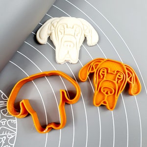Great Dane Face Cookie Cutter - Fondant Cutter Outline - Cookie Cutter + Stamp