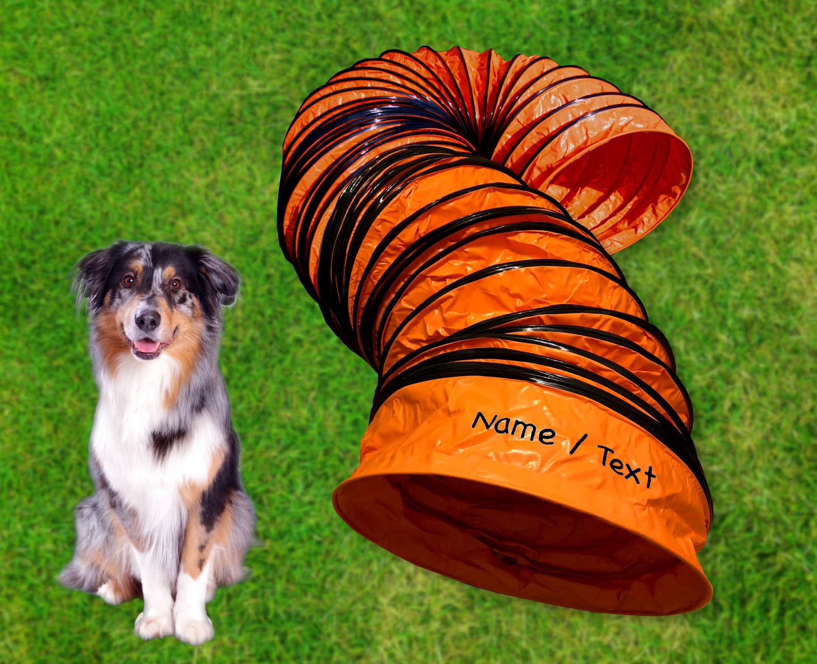 Agility tunnel for dogs personalized with name PVC material Etsy