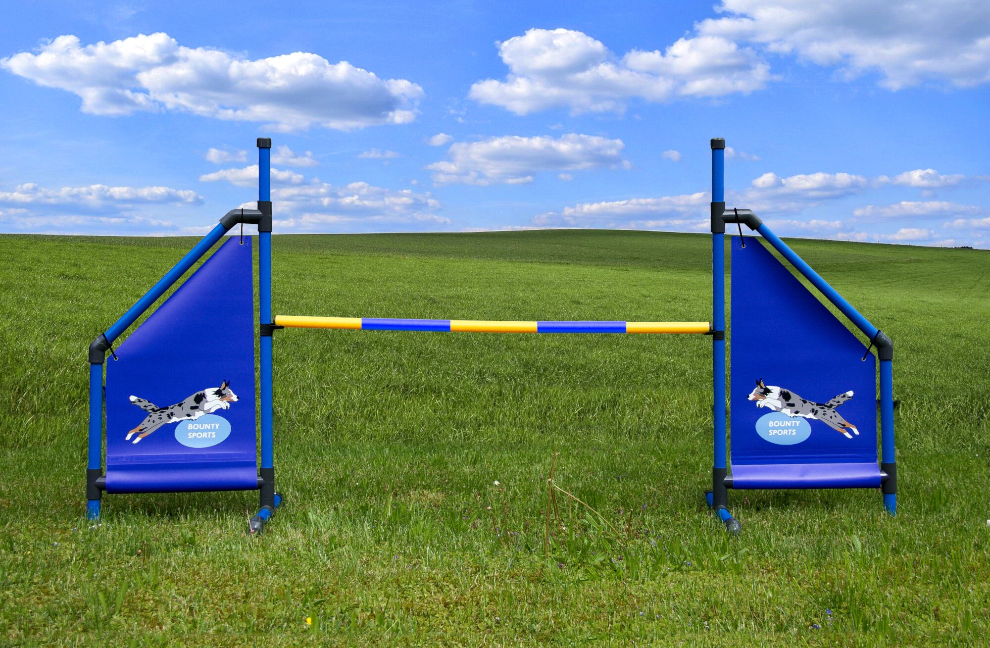 Agility hurdle with photo for dogs individually printed with Etsy
