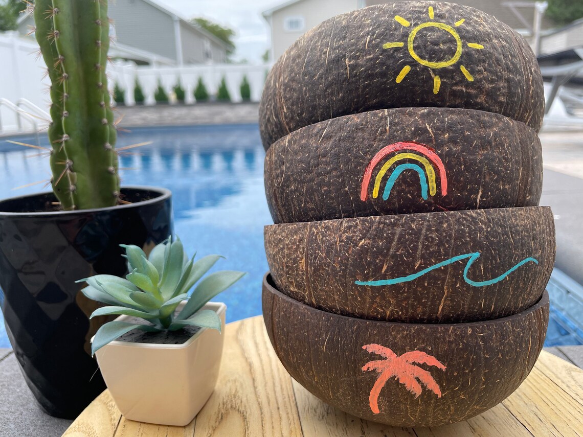 Rainbow Coconut Bowl Hand Painted Coconut Bowls Natural and Eco