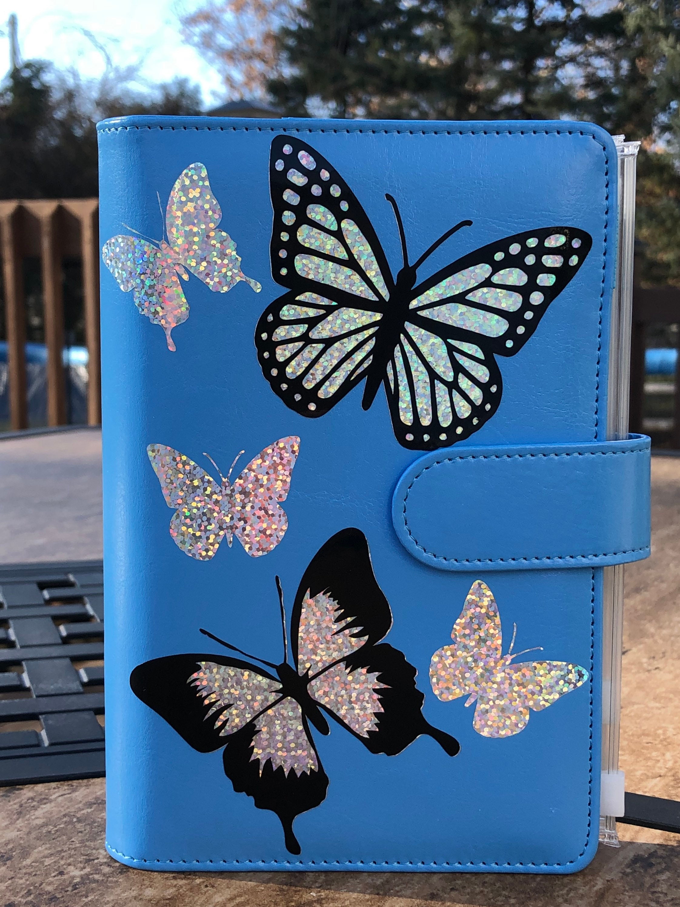 Organize Your Finances with the Stylish LV Butterflies Budget Binder