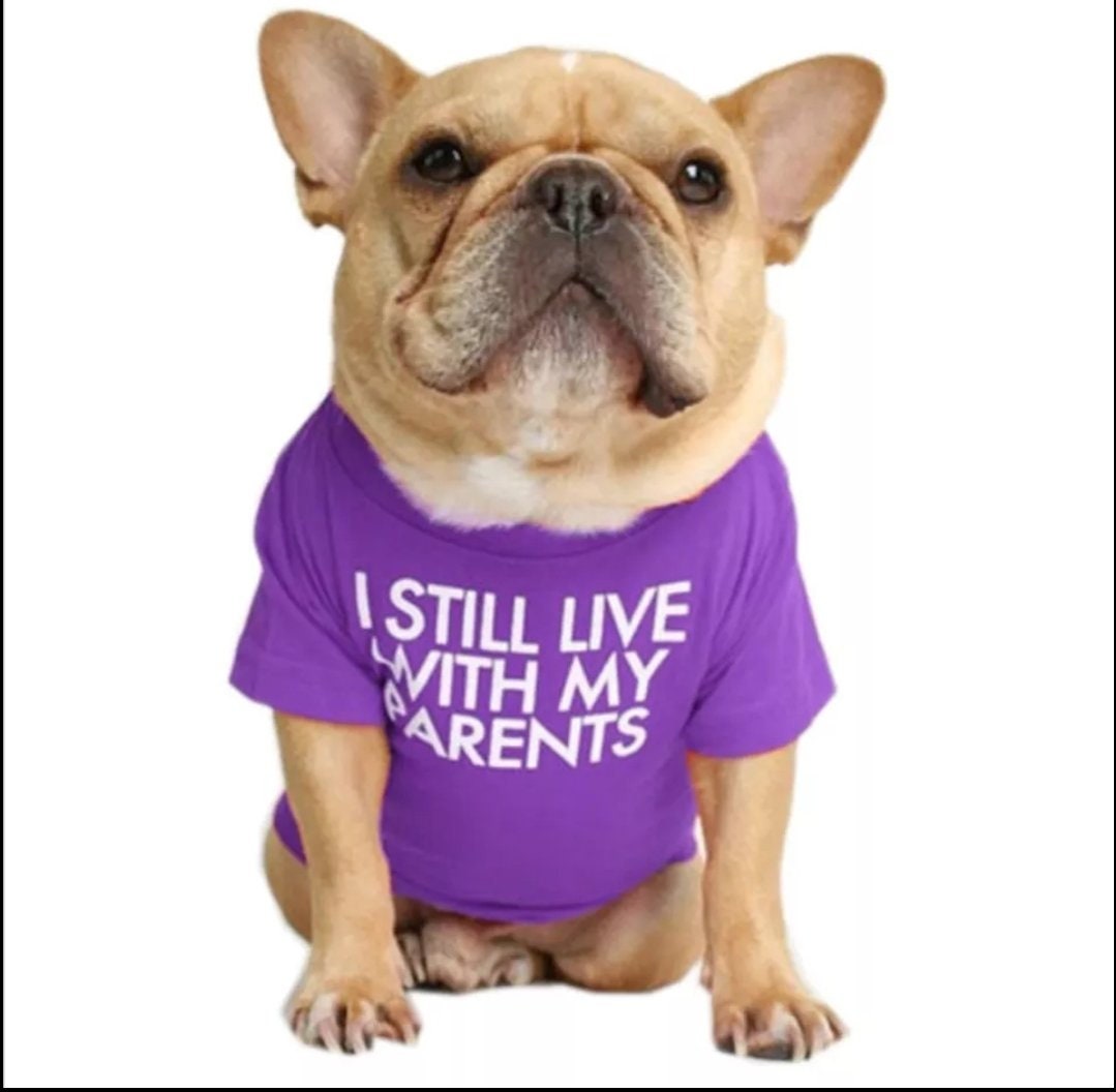 Dog TShirt I Still Live With My Parents Purple Etsy