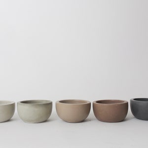 May include: Five small, round concrete planters in different shades of gray, beige, and brown. The planters are arranged in a row on a white surface.